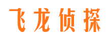 瑞安调查事务所